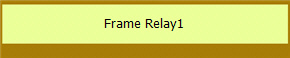 Frame Relay1