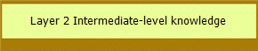 Layer 2 Intermediate-level knowledge  