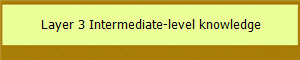  Layer 3 Intermediate-level knowledge 