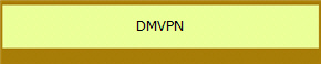 DMVPN 